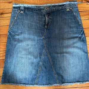 Denim Banana Republic skirt